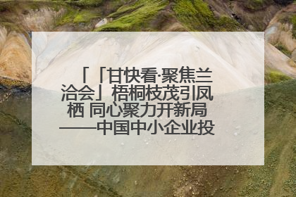 「甘快看·聚焦兰洽会」梧桐枝茂引凤栖 同心聚力开新局——中国中小企业投资洽谈会侧记