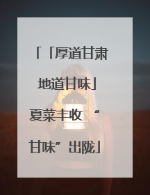 「厚道甘肃 地道甘味」夏菜丰收 “甘味”出陇