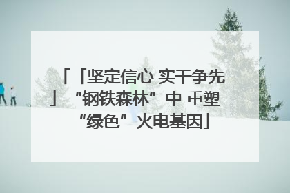 「坚定信心 实干争先」“钢铁森林”中 重塑“绿色”火电基因