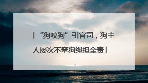 “狗咬狗”引官司，狗主人屡次不牵狗绳担全责