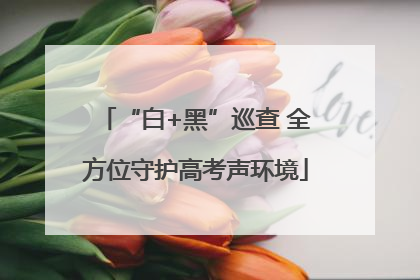 “白+黑”巡查 全方位守护高考声环境