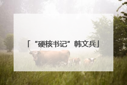“硬核书记”韩文兵