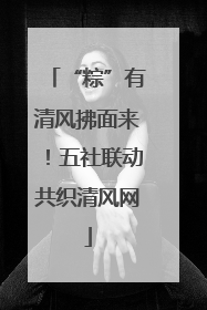 “粽”有清风拂面来！五社联动共织清风网