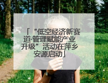 “低空经济新赛道·管理赋能产业升级”活动在萍乡安源启动