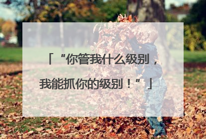 “你管我什么级别，我能抓你的级别！”
