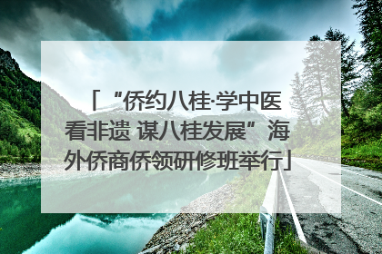 “侨约八桂·学中医 看非遗 谋八桂发展”海外侨商侨领研修班举行