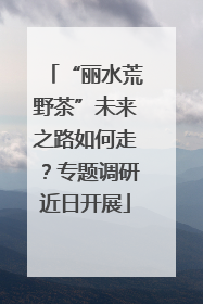 “丽水荒野茶”未来之路如何走？专题调研近日开展