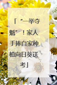 “一举夺魁”！家人手捧自家种植向日葵送考