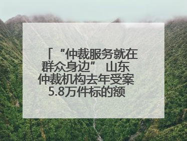 “仲裁服务就在群众身边” 山东仲裁机构去年受案5.8万件标的额604亿元