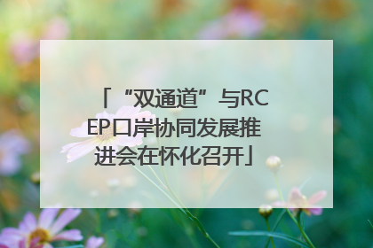 “双通道”与RCEP口岸协同发展推进会在怀化召开