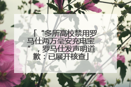“多所高校禁用罗马仕两万毫安充电宝”，罗马仕发声明道歉：已展开核查