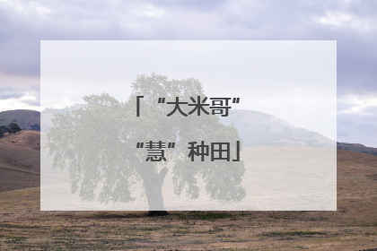“大米哥”“慧”种田