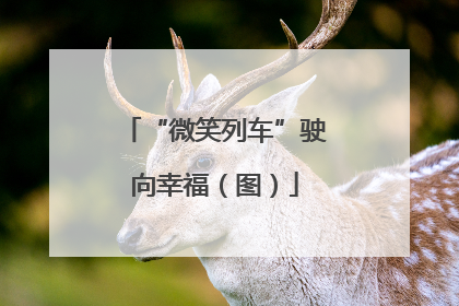 “微笑列车”驶向幸福（图）