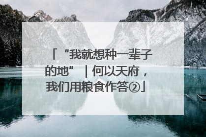 “我就想种一辈子的地”｜何以天府，我们用粮食作答②