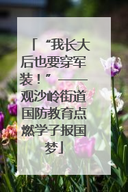 “我长大后也要穿军装！”——观沙岭街道国防教育点燃学子报国梦