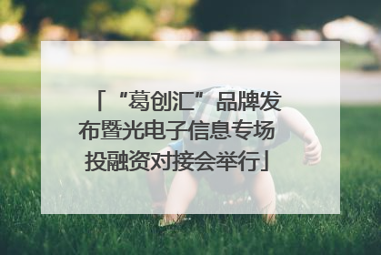 “葛创汇”品牌发布暨光电子信息专场投融资对接会举行