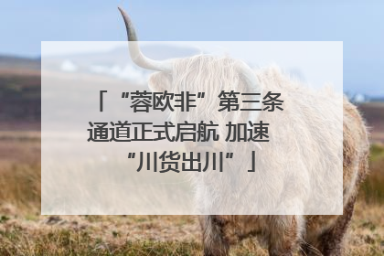 “蓉欧非”第三条通道正式启航 加速“川货出川”