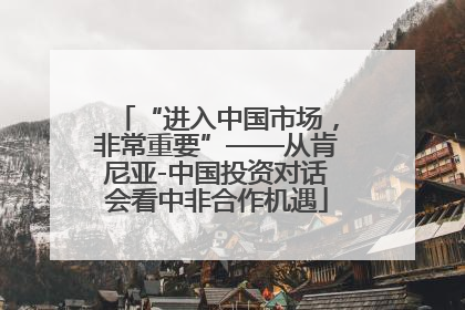 “进入中国市场，非常重要”——从肯尼亚-中国投资对话会看中非合作机遇