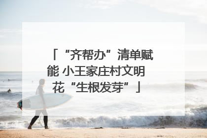 “齐帮办”清单赋能 小王家庄村文明花“生根发芽”