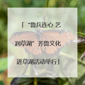 “鲁兵连心 艺润草湖”齐鲁文化进草湖活动举行