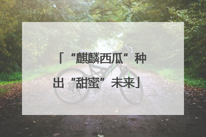 “麒麟西瓜”种出“甜蜜”未来