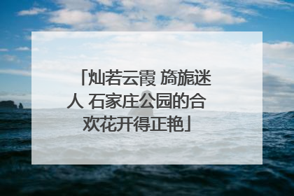 灿若云霞 旖旎迷人 石家庄公园的合欢花开得正艳