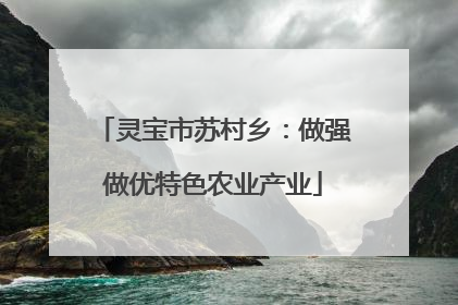 灵宝市苏村乡：做强做优特色农业产业