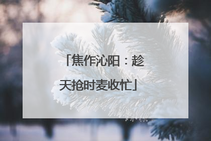 焦作沁阳：趁天抢时麦收忙