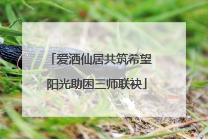 爱洒仙居共筑希望 阳光助困三师联袂