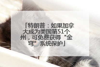 特朗普：如果加拿大成为美国第51个州，可免费获得“金穹”系统保护