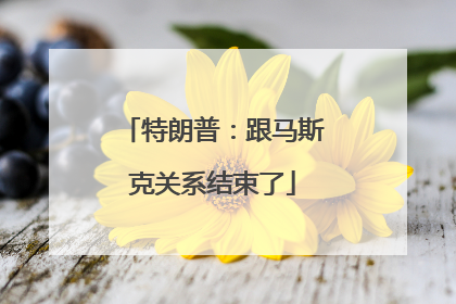 特朗普：跟马斯克关系结束了