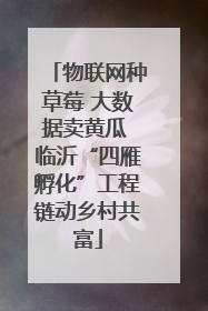 物联网种草莓 大数据卖黄瓜 临沂“四雁孵化”工程链动乡村共富