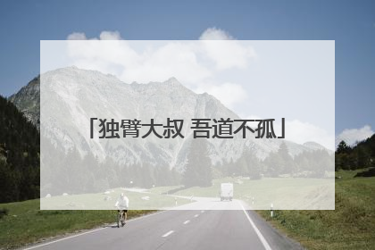 独臂大叔 吾道不孤