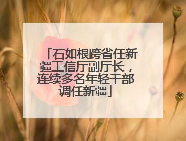 石如根跨省任新疆工信厅副厅长，连续多名年轻干部调任新疆