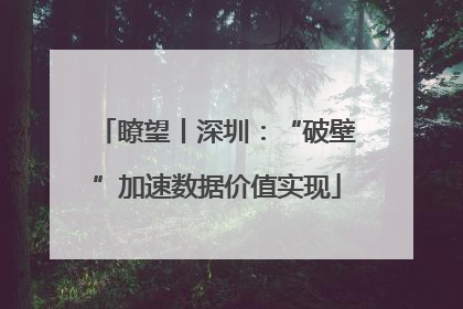 瞭望丨深圳：“破壁”加速数据价值实现