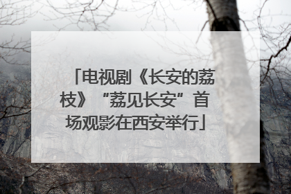 电视剧《长安的荔枝》“荔见长安”首场观影在西安举行