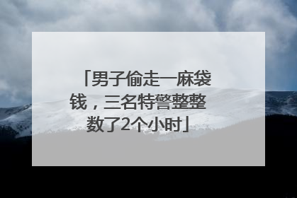 男子偷走一麻袋钱，三名特警整整数了2个小时