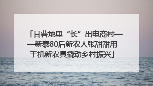 甘薯地里“长”出电商村——新泰80后新农人张甜甜用手机新农具撬动乡村振兴