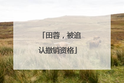 田蓉，被追认撤销资格