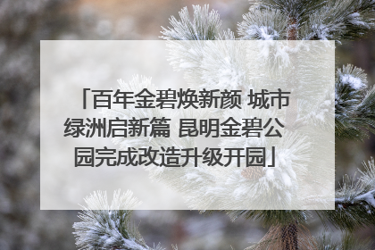 百年金碧焕新颜 城市绿洲启新篇 昆明金碧公园完成改造升级开园