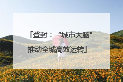 登封：“城市大脑”推动全城高效运转