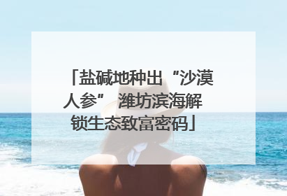 盐碱地种出“沙漠人参” 潍坊滨海解锁生态致富密码