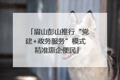 眉山彭山推行“党建+政务服务”模式 精准惠企便民