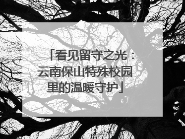 看见留守之光：云南保山特殊校园里的温暖守护