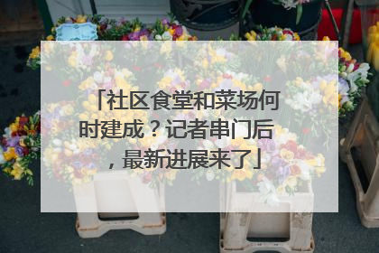 社区食堂和菜场何时建成？记者串门后，最新进展来了