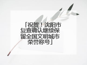 祝贺！沈阳市复查确认继续保留全国文明城市荣誉称号