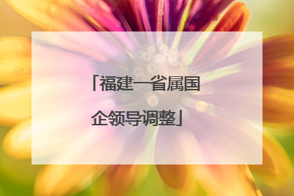 福建一省属国企领导调整