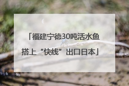 福建宁德30吨活水鱼搭上“快线”出口日本