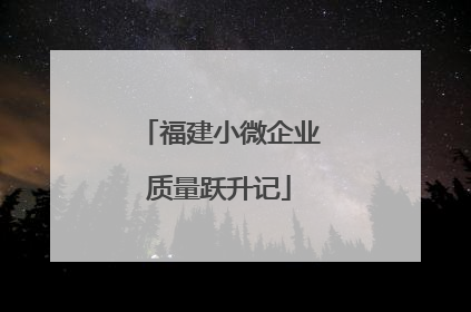 福建小微企业质量跃升记