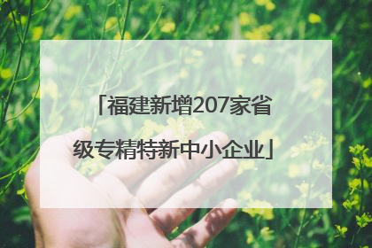 福建新增207家省级专精特新中小企业